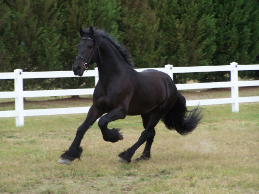 595886 (a): :2576x1932